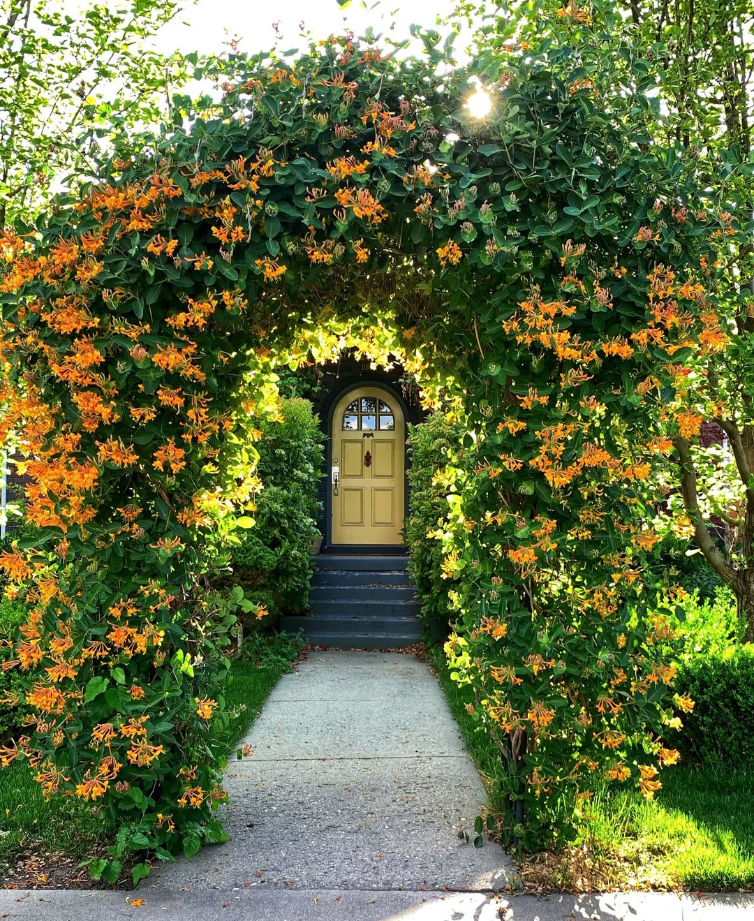 Garden Archway