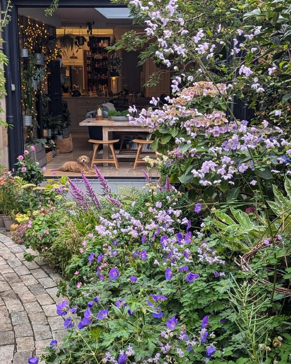 Layered Planting Backyard Garden