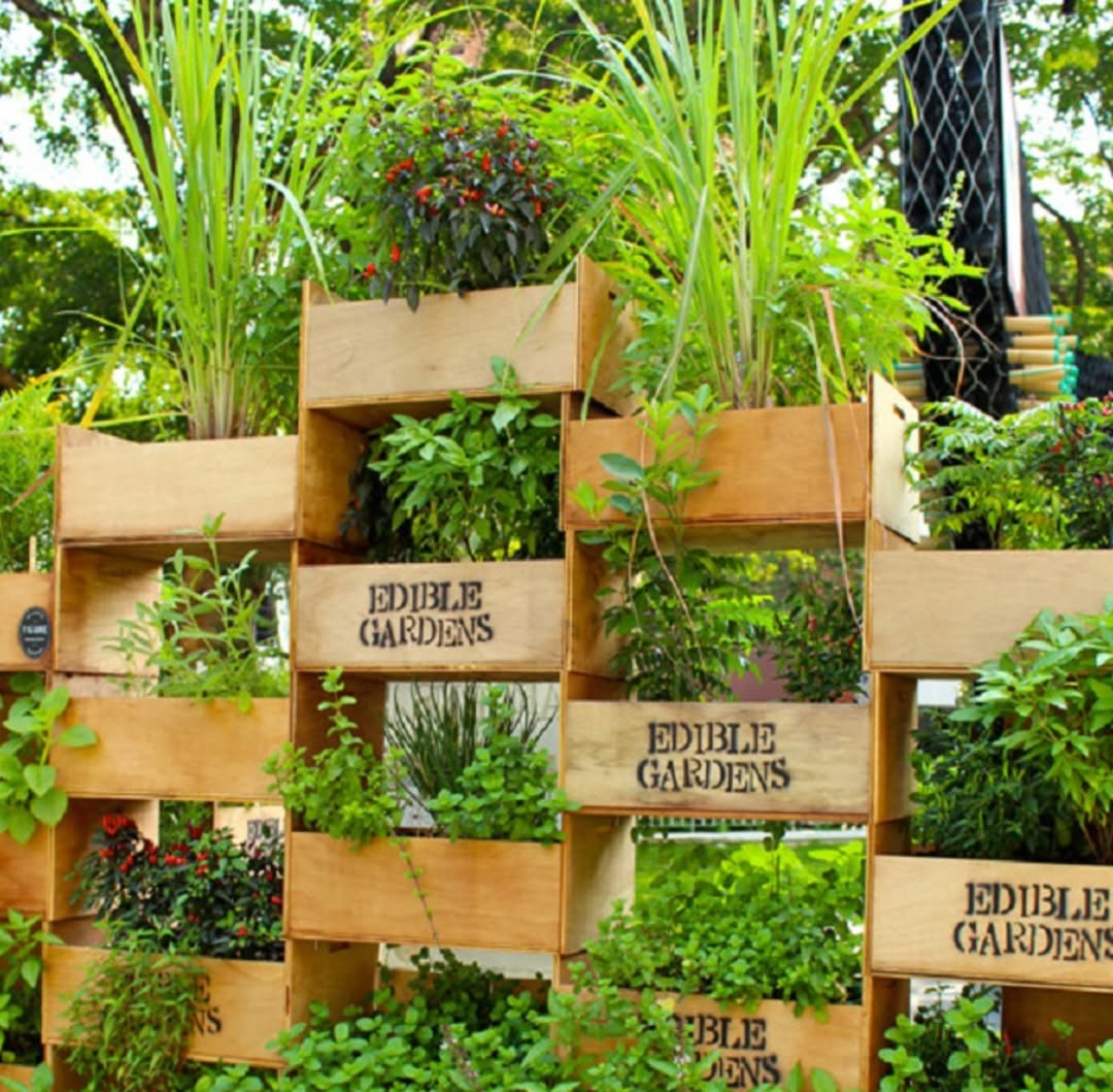 Small Spaces with Vertical Garden